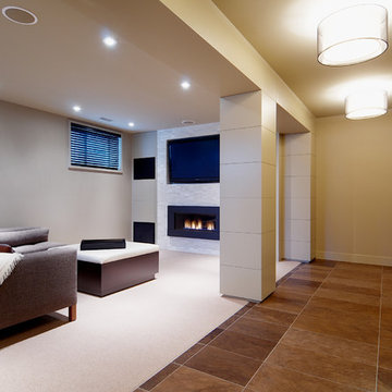 Elboya Modern Basement Renovation