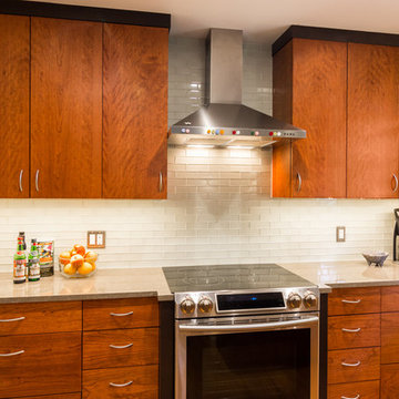 Ann Arbor "Tiny" Kitchen remodel