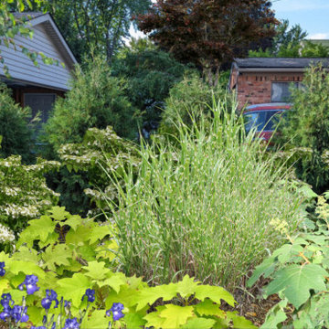 Foundation Plantings