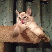 Krysti Lusk's photo