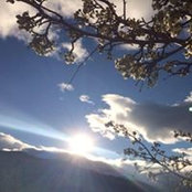 Lynn Chandler's photo