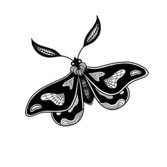Moth23, Inc.
