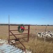 Kris Verweire's photo