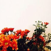 林碗茜's photo