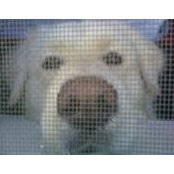 Sonya Adams's photo
