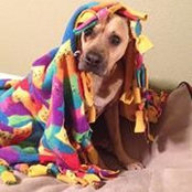 Vonnie Dennee's photo