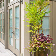 side yard