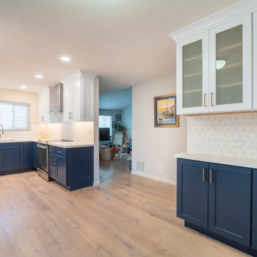 Stunning Blue Kitchen Remodel