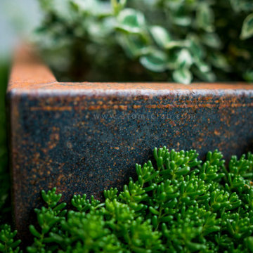 Corten low profile planters for succulents