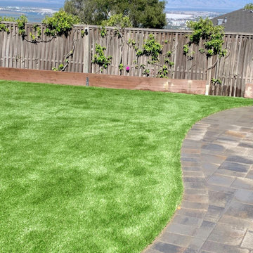 Artificial Grass