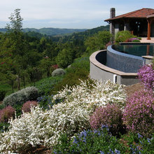 Backyard Landscaping