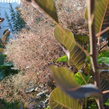 Plantings