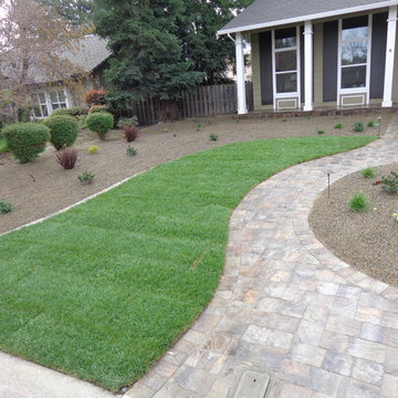 Lawn Replacement/Reduction in Lawn Size