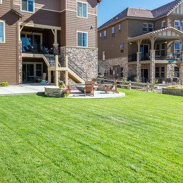 Back Country - Lush Green Grass