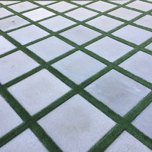 Celebration Backyard