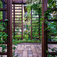 Pergola