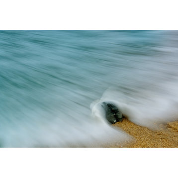 Whelk Seashell & Misty Wave Nature Photo, Coastal Unframed Wall Art Print, 24" X 36"
