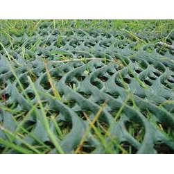 park on grass - Gardening Tools