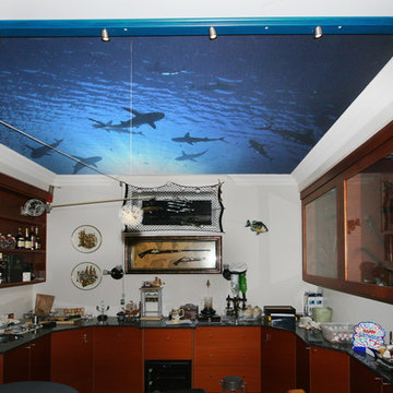 Sharks in the Man Cave