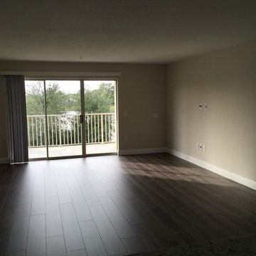 Condo remodeling from scratch
