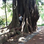 Foto von Margarida Rodrigues
