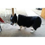 John Higginbotham's photo