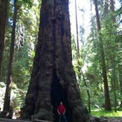Tyler Thayer's photo