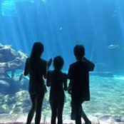 Christie Veatch's photo
