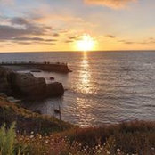 Jason Leavoy's photo
