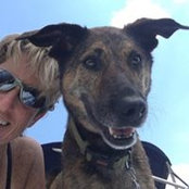 Karen Kurtz's photo
