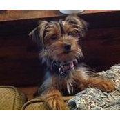 Nicky Sims's photo