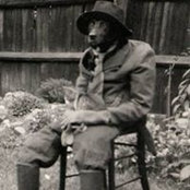David Lloydさんの写真