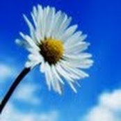 suzanke .s foto