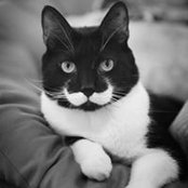 Rustam Valiev's photo