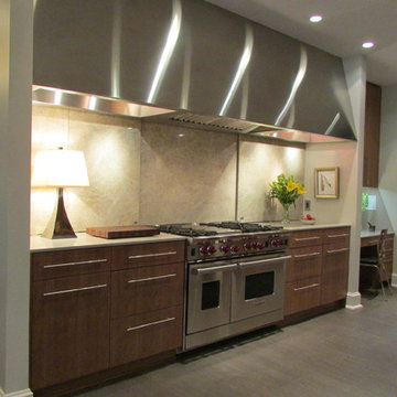 Contemporary Remodel
