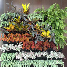 living wall