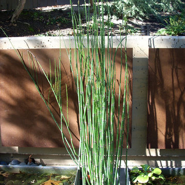 Modern Garden