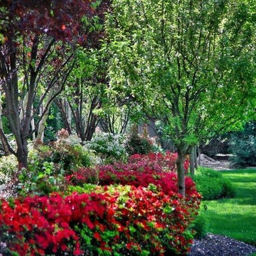 Gardens That Reflect Good Feng Shui