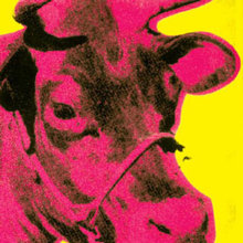 Vaca