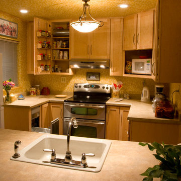 Tiny Cabin Kitchen- Remodel