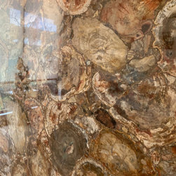Brown Petrified Wood Semi Precious Countertops - Kitchen Countertops