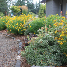 Landscape plantings