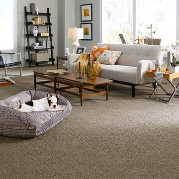 Tuftex STAINMASTER® Collection