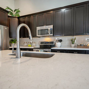 Kitchen Remodel (Curry)