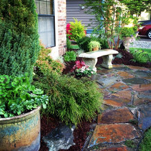 Landscape Ideas