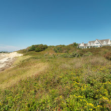 landscapes