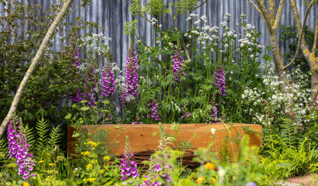 8 Landscape Trends From the 2024 Chelsea Flower Show