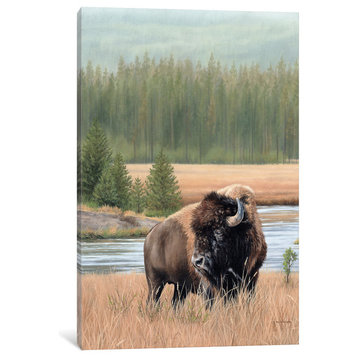 American Bison by Rachel Stribbling Canvas Print, 18"x12"x1.5"