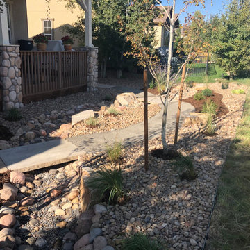 Broomfield Xeriscape 2