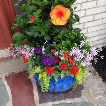 Container Gardens